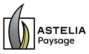 Logo complet Astelia paysage en noir, sans baseline