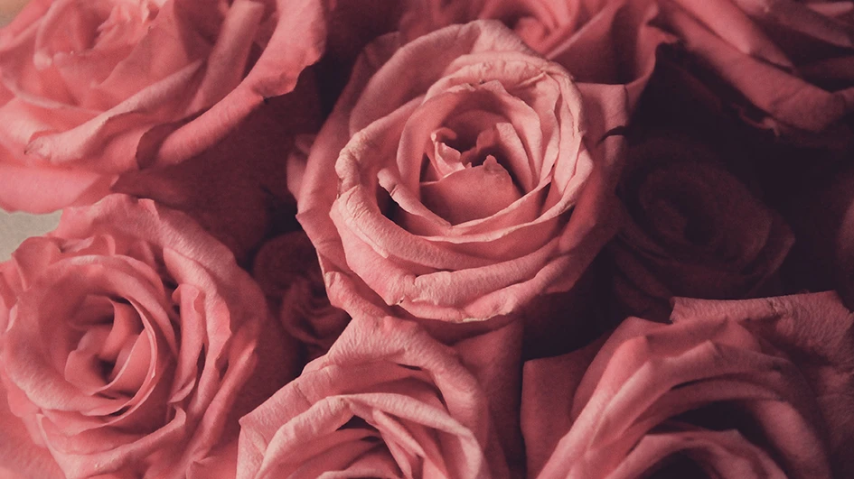 Apprenez à utiliser efficacement le rose dans votre identité de marque !