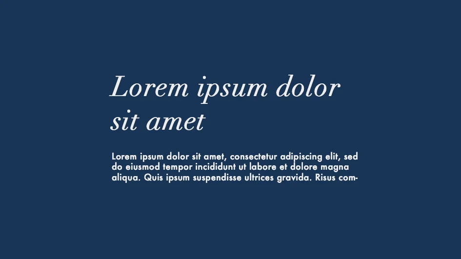 Typographies Didot et outra sur fond bleu pour une identité visuelle prestigieuse.