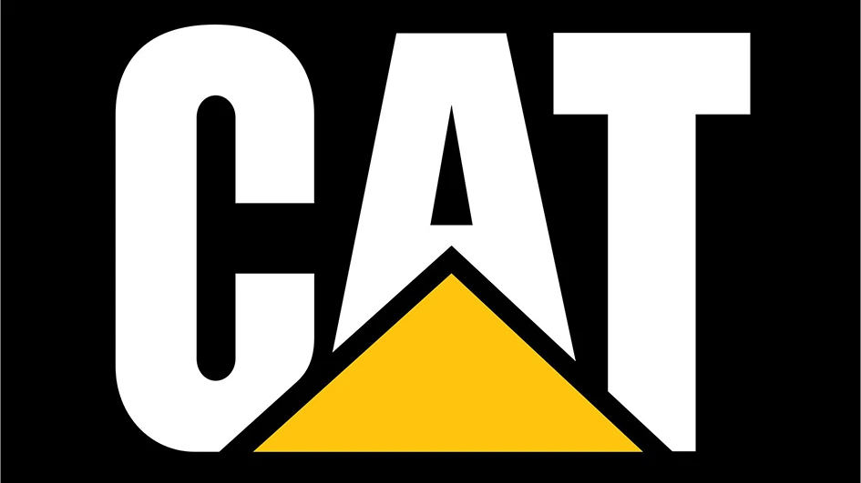 Associations de couleurs avec le jaune pour une identité visuelle contrastée
