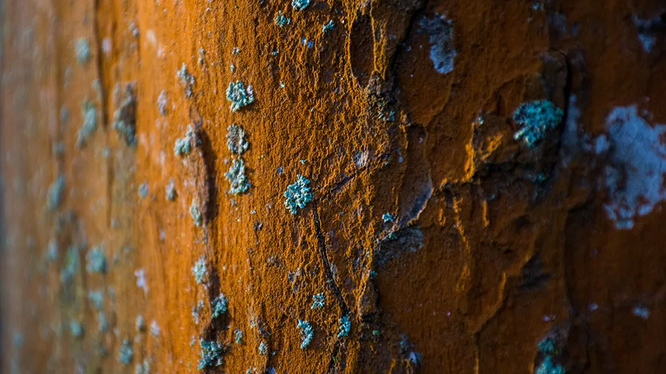 Osez la couleur rouille pour votre marque rétro audacieuse et authentique ou underground.