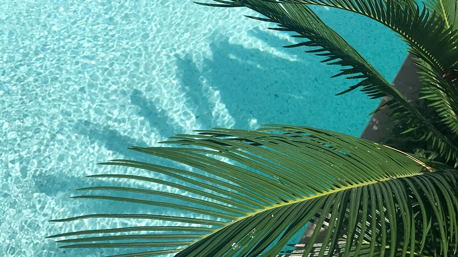 Quelles couleurs harmoniser et marier quand on ouvre un spa de luxe ?