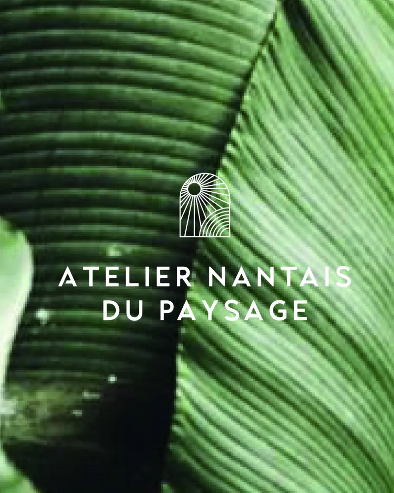 Proposition de logo non retenue, créée par le studio Citron Sorbet