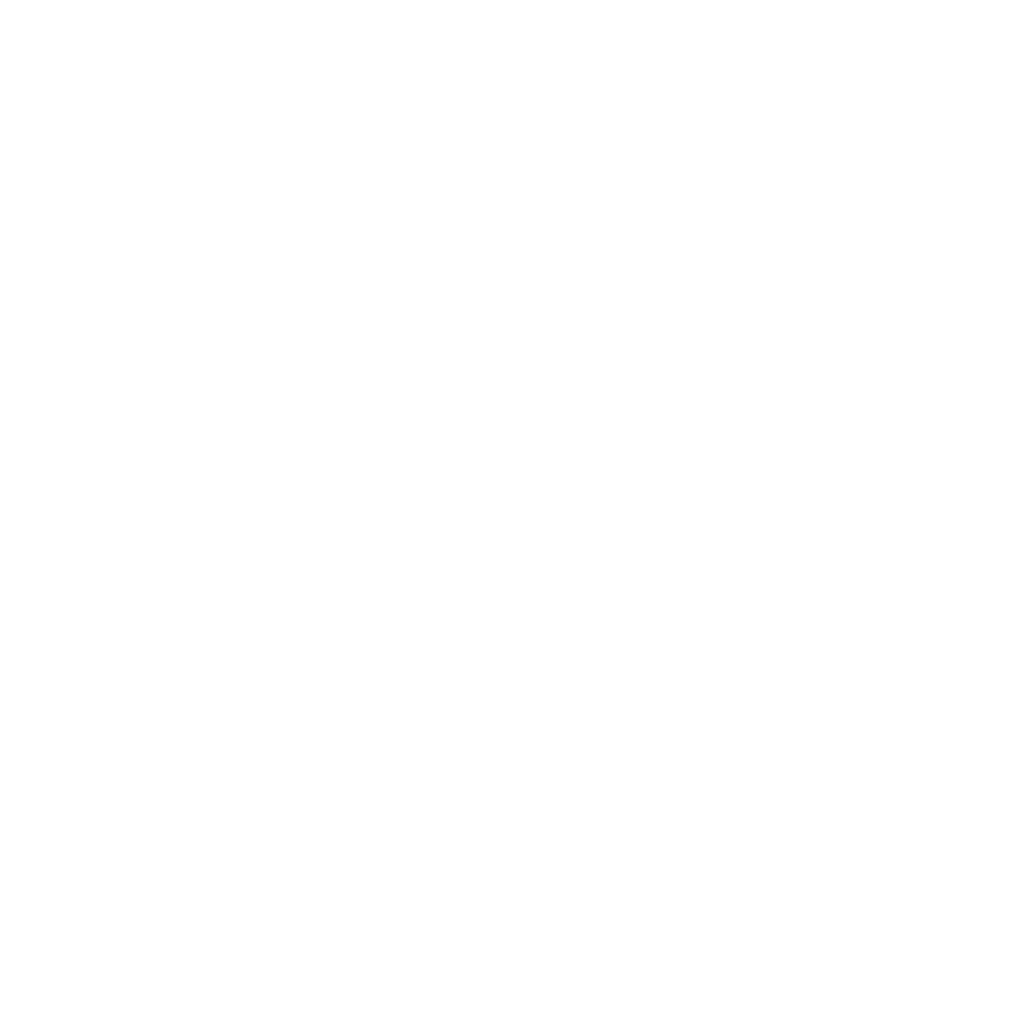 rev-ti-dodo-artiste