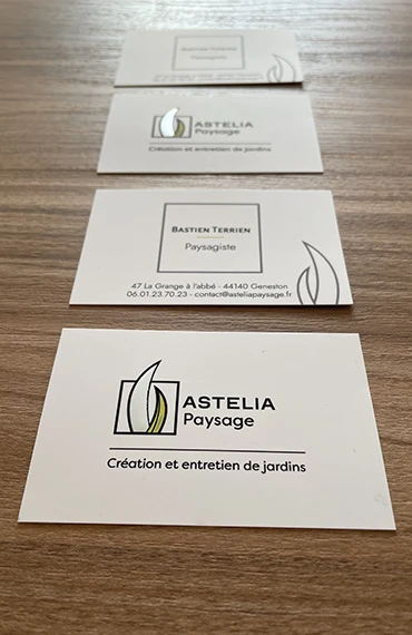 Cartes de visite imprimées d’Astelia paysage alignées sur une table en bois, recto logo et verso nom du paysagiste à Geneston