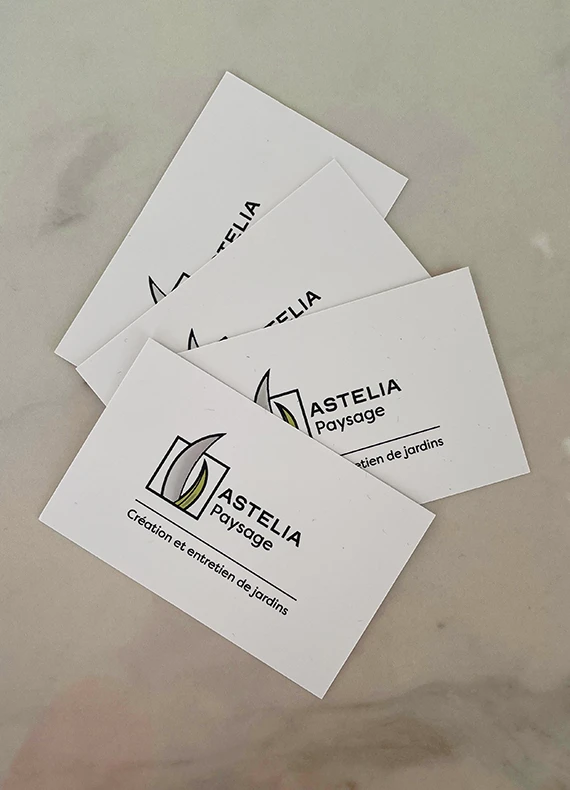 Cartes de visite blanches d’Astelia paysage en éventail sur un plan de marbre, logo feuille grise et vert anis