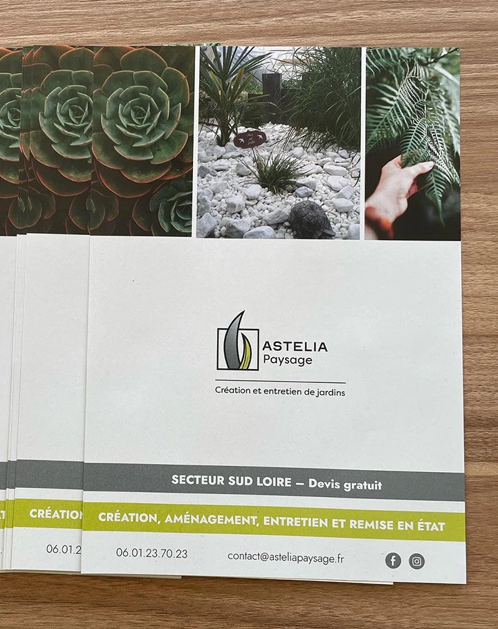 Flyers Astelia paysage : photos de succulente, jardin minéral et fougère, bandeaux gris et vert anis « Secteur Sud Loire »