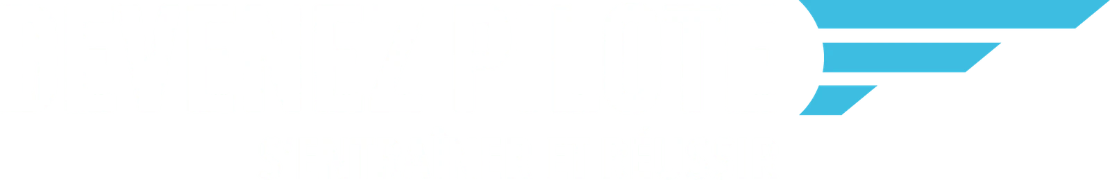 Logo Devenez Pilote, lettrage blanc au grain usé, trois traits bleu ciel en forme d'aile et baseline S'entraîner et réussir