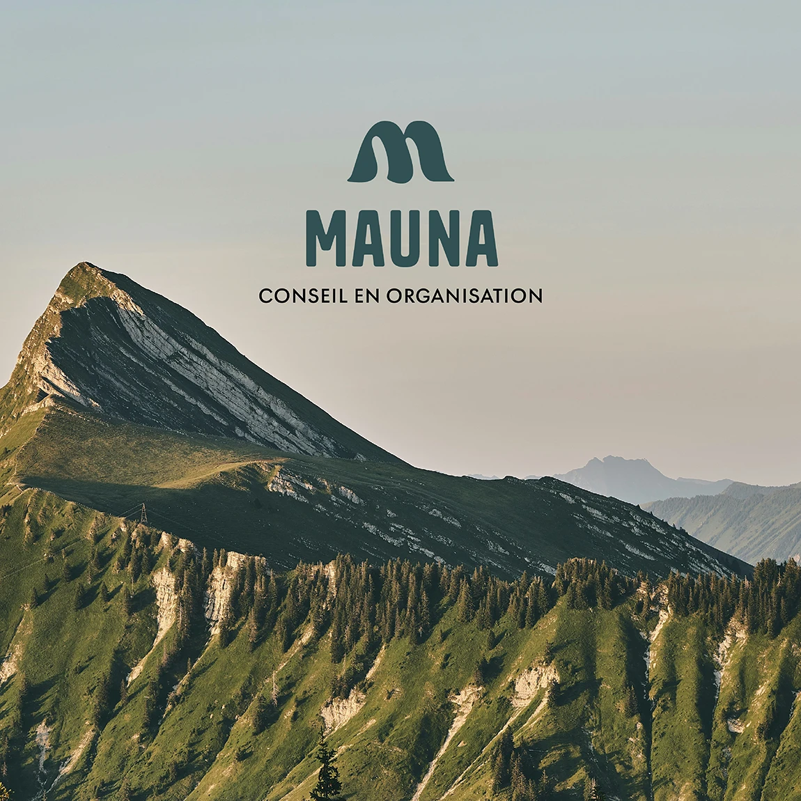 Logo vert sapin de Mauna, cabinet de conseil nantais, au-dessus d’un sommet alpin verdoyant, visuel de l’identité